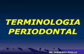 Perio i Terminologia Periodontal