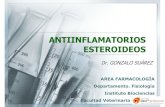 Antiinflamatorios+Esteroideos+ +PDF
