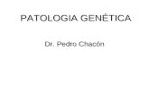 3 PATOLOGIA GENETICA