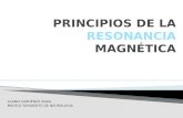 PRINCIPIOS DE LA RESONANCIA MAGNÉTICA