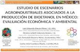 Estudio de escenarios agroindustriales para la producción de etanol en Mexico