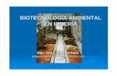 Biotecnologia en mineria