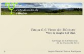 Ruta del Vino de Ribeiro