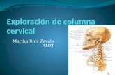 Exploración de columna cervical y dorsal