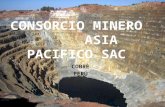 Prospecto Minero Cobre Milagros-2011
