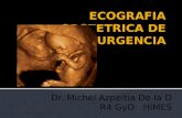 Ecografia Obstetric A de Urgencia