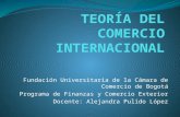 TEORÍA DEL COMERCIO INTERNACIONAL