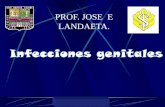1-Infecciones Genitales Dr. Landaeta