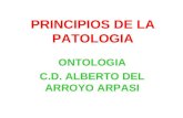 1 Principios de La Patologia