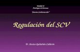 Regulación SCV