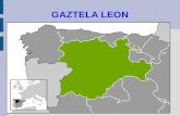 Gaztela Eta Leon