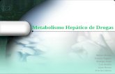 Metabolismo Hepatico