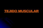 6. Tejido Muscular