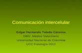 3. Comunicación intercelular