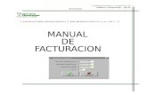 Manual de Facturacion.
