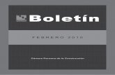 Boletin capeco-febrero-2010