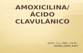 AMOXI CLAVULANATO
