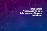 Inteligencia, procesamiento de la información y toma de desiciones