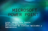 Peña osorio leidy johana microsoft _power _point