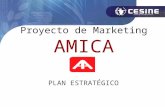 Plan de Marketing de AMICA