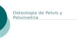 Osteología de Pelvis y Pelvimetría