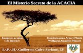 El Misterio Secreto de La Acacia