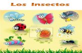 Lamina - Insecto - La Mariquita