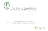 Ruta Sintesis de Glucosidos de Steviol. Alfredo_Jarma.pdf