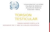 Torsion Testicular Semi