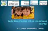 Ludo terapia para niños con retraso mental, Javier Armendariz Cortez