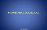 MEMBRANAS BIOLOGICAS (TEORIA)