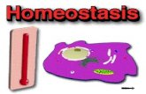 SESI0NES 1 Y 2 Homeostasis y Constantes Fisiológicas
