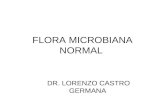 Flora Microbiana