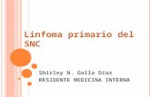 Linfoma en SNC