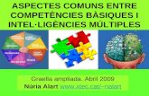 Competències bàsiques i Intel·ligències Múltiples:aspectes comuns