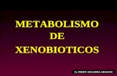 BIOQUIMICA II - Metabolismo de Xenobióticos.ppt
