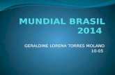 Mundial brasil 2014
