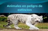 Animales en peligro de extincion