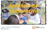 Introducción al Aprendizaje Cooperativo