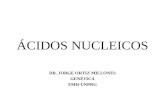 ÁCIDOS NUCLEICOS DR. JORGE ORTIZ MILLONES