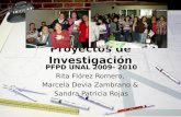 Proyectos de Investigación 2009-2010 (PFPD UNAL)