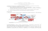 DevolucióN Ejercicio Modelos De Cardiocitos