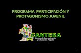 Programa De Participacion Y Protagonismo Juvenil Web