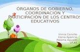 Órganos de gobierno, coordinación y participación de los centros educativos