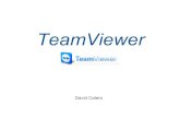 Pecha-Kucha TeamViewer