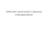 Infección anorrectal y absceso criptoglandular