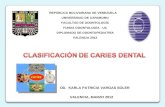 Clasificación de caries dental