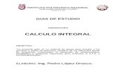 Guia Calculo Integral