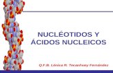 Nucleotidos y Acidos Nucleicos