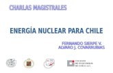 programa nuclear - fcfm 2010